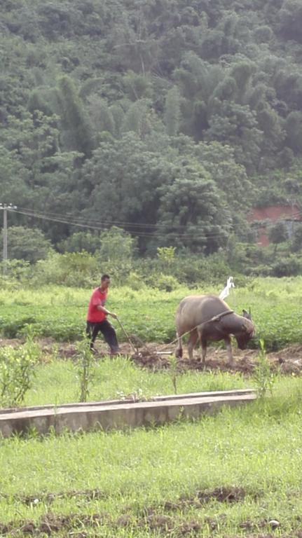 Yangshuo Zen Valley מראה חיצוני תמונה